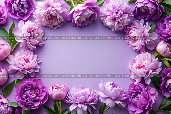 A frame with beautiful peony flowers on a pastel purple background. The layout of the apartment, top view, a place to copy, summer flowers. Стоковое AI-изображение, AI-художник Photojuli / Фотобанк Лори