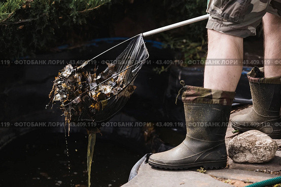 A gardener cleans a decorative pond from foliage and dirt. Construction and cleaning of an ornamental pond in the garden. Landscape design. Стоковое фото, фотограф Photojuli / Фотобанк Лори