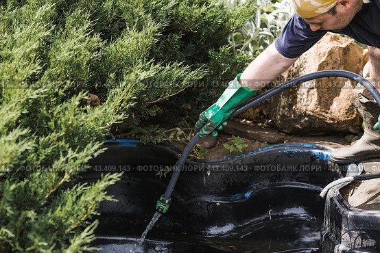 A gardener cleans a decorative pond from foliage and dirt. Construction and cleaning of an ornamental pond in the garden. Landscape design. Стоковое фото, фотограф Photojuli / Фотобанк Лори