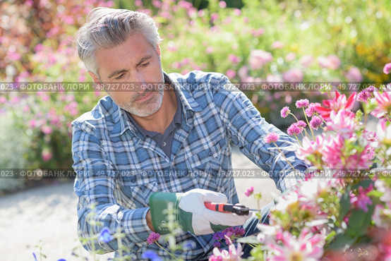 a gardener is tending flowers. Стоковое фото, агентство Ingram Publishing / Фотобанк Лори