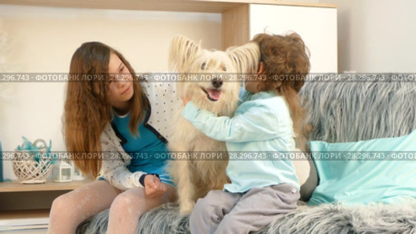 A girl with a boy is stroking a dog. Стоковое видео, видеограф Tatiana Kravchenko / Фотобанк Лори