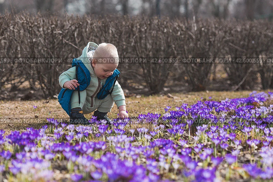 A handsome, cheerful little boy of two years old walks with his mother on the street in the spring. The kid plays and collects flowers for his mother in the park. The concept of parenthood, childhood and family. Стоковое фото, фотограф Photojuli / Фотобанк Лори
