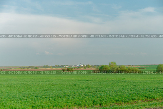 A large field of green grass with a few trees in the background. Стоковое фото, фотограф Надежда Кап / Фотобанк Лори