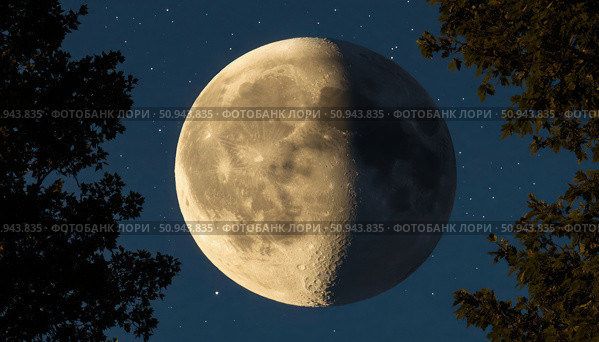 A large moon is in the sky, surrounded by trees. Стоковое AI-изображение, AI-художник Ярославский Максим / Фотобанк Лори