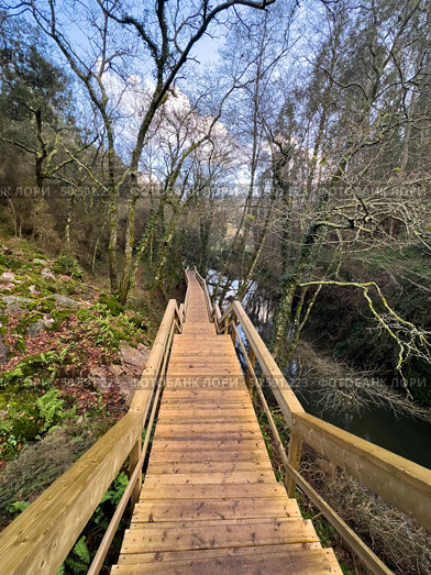 A long wooden staircase descends into a forest towards a body of water near Cascata do Outeiro. Bare trees frame the scene, creating a sense of anticipation and tranquility in Oliveira de Azemeis. Стоковое фото, агентство Ingram Publishing / Фотобанк Лори