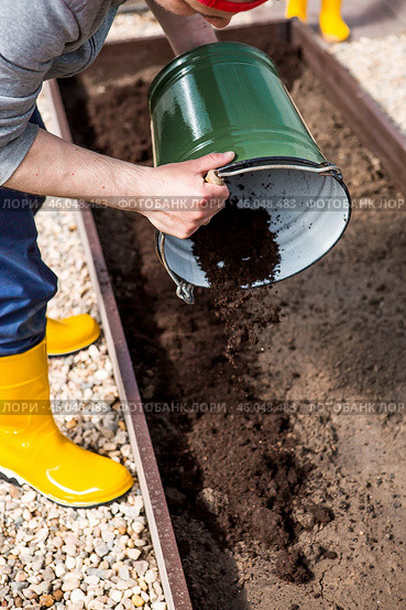 A male farmer pours new soil, soil for a new greenhouse. The concept of spring vegetable planting, greenhouse installation and farming. Стоковое фото, фотограф Photojuli / Фотобанк Лори