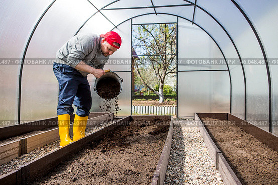 A male farmer pours new soil, soil for a new greenhouse. The concept of spring vegetable planting, greenhouse installation and farming. Стоковое фото, фотограф Photojuli / Фотобанк Лори