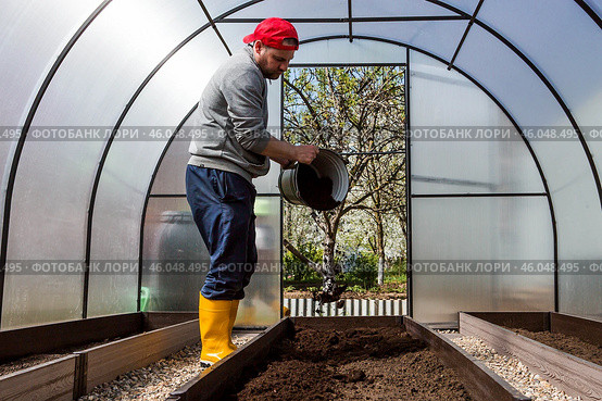 A male farmer pours new soil, soil for a new greenhouse. The concept of spring vegetable planting, greenhouse installation and farming. Стоковое фото, фотограф Photojuli / Фотобанк Лори