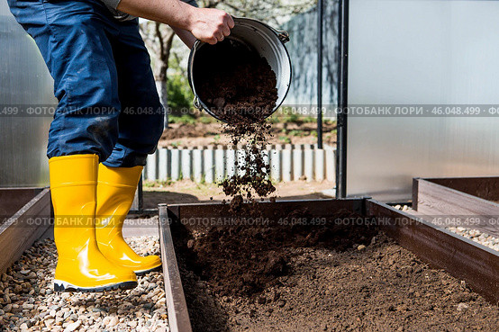 A male farmer pours new soil, soil for a new greenhouse. The concept of spring vegetable planting, greenhouse installation and farming. Стоковое фото, фотограф Photojuli / Фотобанк Лори