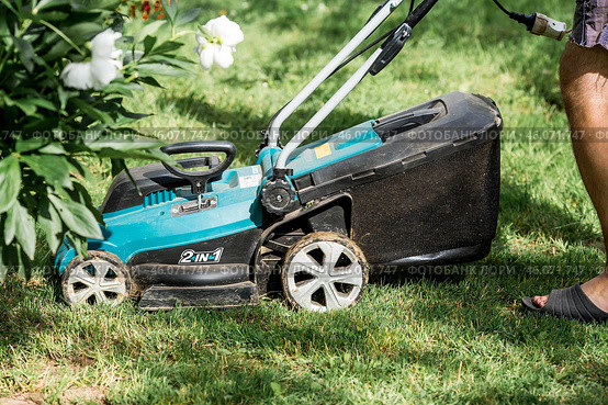 A man with a lawn mower mows the grass in the backyard. Agricultural machinery for garden maintenance. The banner. Стоковое фото, фотограф Photojuli / Фотобанк Лори