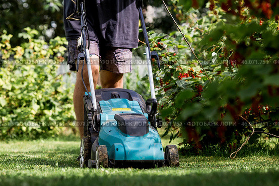 A man with a lawn mower mows the grass in the backyard. Agricultural machinery for garden maintenance. The banner. Стоковое фото, фотограф Photojuli / Фотобанк Лори