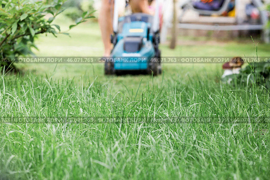 A man with a lawn mower mows the grass in the backyard. Agricultural machinery for garden maintenance. The banner. Стоковое фото, фотограф Photojuli / Фотобанк Лори