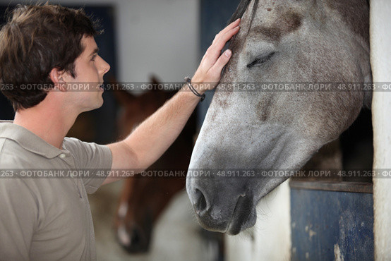 A man with his horse. Стоковое фото, агентство Ingram Publishing / Фотобанк Лори