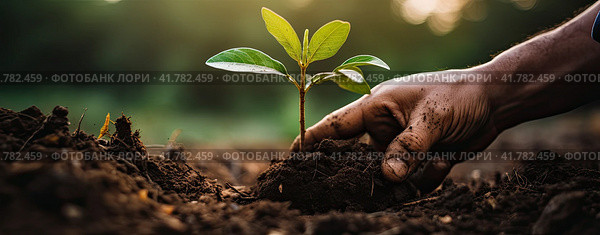 A man's hand is hoeing a young green sprout with earth. The concept of caring for a new generation. Стоковое AI-изображение, AI-художник Ярославский Максим / Фотобанк Лори