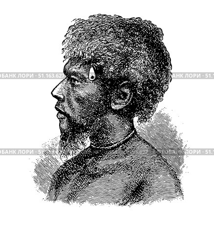 A Papuan man from the islands of New Ireland, illustration from The People's Encyclopedia, Moscow. Russia, 1911. Стоковая иллюстрация, иллюстратор Константин Тимофеев / Фотобанк Лори