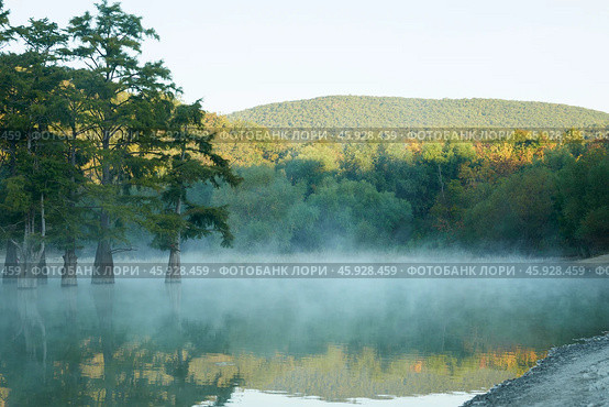 A picturesque lake surrounded by mountains with a grove of swamp cypresses in the water in the early morning. Milky fog covers the water surface of the lake. Trees are reflected in the water. Стоковое фото, фотограф Роман Дзюбало / Фотобанк Лори