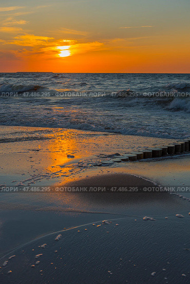 A picturesque sunset over the Baltic Sea. The sun slowly sinks below the horizon, painting the sky and water in rich shades of orange, yellow and blue. The waves gently roll onto the sandy shore, reflecting the golden light. In the foreground are wet sand covered with surf foam and wooden riots extending into the water. The atmosphere of calm, solitude and natural harmony makes the scene ideal for illustrating themes: relaxation, nature, the Baltic, meditation, travel. Стоковое фото, фотограф Анна Кривицкая / Фотобанк Лори