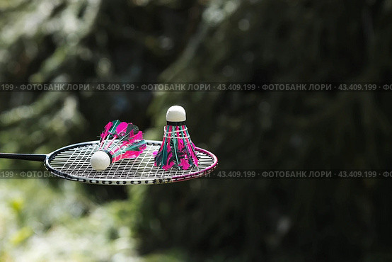 A racket and a shuttlecock on a background of green grass. Playing badminton. A summer sport. Outdoor games. Стоковое фото, фотограф Photojuli / Фотобанк Лори