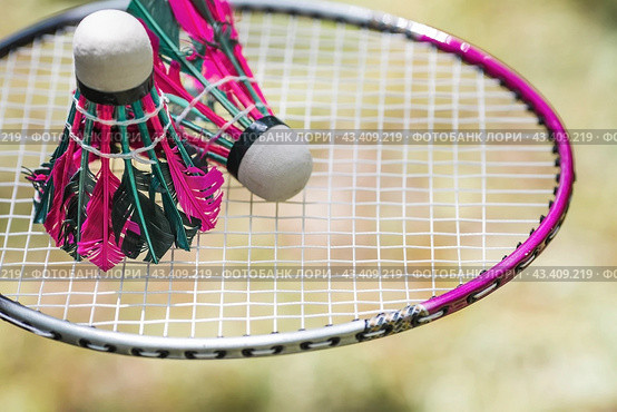 A racket and a shuttlecock on a background of green grass. Playing badminton. A summer sport. Outdoor games. Стоковое фото, фотограф Photojuli / Фотобанк Лори