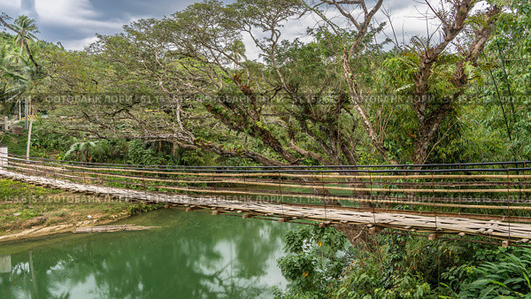 A rickety Bamboo Hanging Bridge over a tropical river. You can see the weaving of the path, the unreliable railing. Lush green vegetation on the shores. Philippines. Bohol. Sipatan River. Sevilla (2024 год). Стоковое фото, фотограф Вера Ивановна Кубарева / Фотобанк Лори