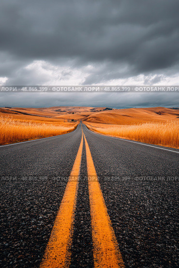 A road with two yellow lines and a cloudy sky in the background. Стоковое AI-изображение, AI-художник Ярославский Максим / Фотобанк Лори