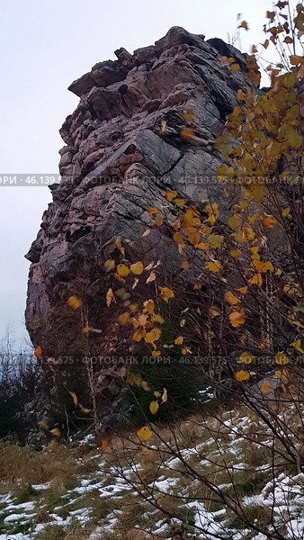 A rock with a characteristic layered structure surrounded by autumn nature. In the foreground, bushes with yellowed leaves are visible, as well as islands of snow on the ground, indicating late autumn or early winter. The rock has a rough texture, many cracks and stratifications, which makes it a unique geological formation.The landscape is typical for the Perm region, where the Ural mountain ranges are combined with forests and open landscapes. Possible location - Vetlan Rock, Chertovo Gorodishche or Stone City. Стоковое фото, фотограф Анна Кривицкая / Фотобанк Лори