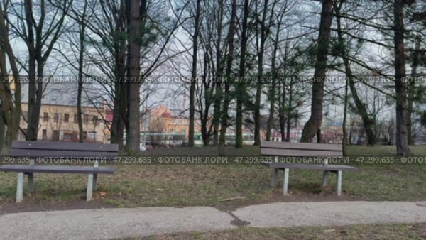 A serene park featuring benches beautifully surrounded by tall trees and lush greenery, Стоковое видео, видеограф Vladimir Vintonjak / Фотобанк Лори