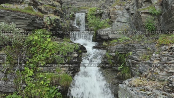 A small, fast-flowing waterfall among rocks and green plants on the Kola Peninsula. Стоковое видео, видеограф Евгения Глинская / Фотобанк Лори