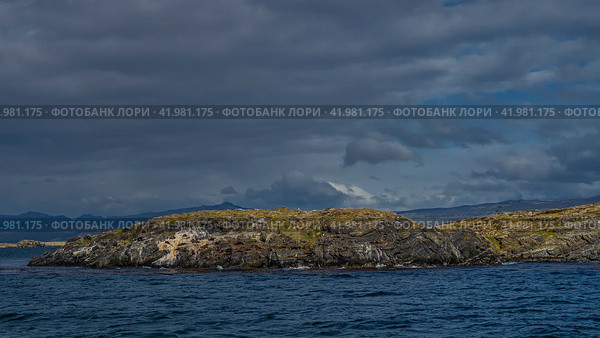 A small rocky island with sparse vegetation in the Beagle Channel. A group of sea lions lies on the cliffs slope. Cormorants fly. Ripples on the blue water. Clouds in the sky. Isla de los lobos. Стоковое фото, фотограф Вера Ивановна Кубарева / Фотобанк Лори