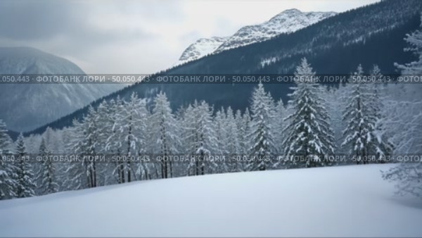 A snowy landscape with tree branches covered in snow, snowy mountains in the background, soft muted light, frontal view. Стоковое AI-видео, аниматор Sergey Grishin / Фотобанк Лори