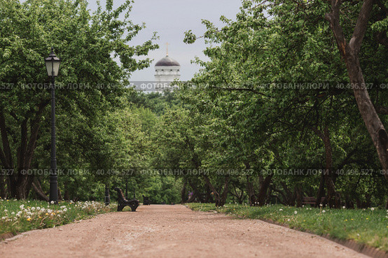 A spring apple orchard and benches in Kolomenskoye Park in the background is the dome of the Church of St. George the Victorious. Beautiful natural green background. (2023 год). Стоковое фото, фотограф Photojuli / Фотобанк Лори