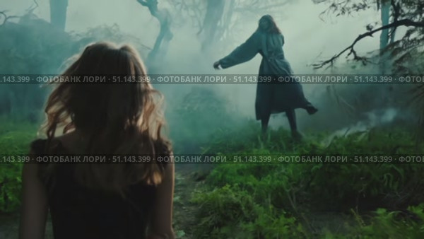 A woman encounters a mysterious figure in a foggy forest during twilight. Стоковое AI-видео, аниматор Данила Большаков / Фотобанк Лори