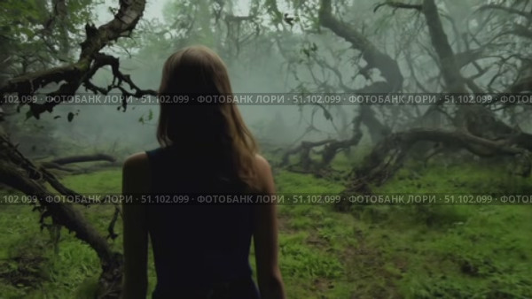 A young woman stands in a foggy forest, surrounded by twisted trees and mysterious shadows. Стоковое AI-видео, аниматор Данила Большаков / Фотобанк Лори