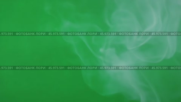 Abstract swirling white smoke on Green Screen. Smoke fume is slowly forming, moving in the air isolated on green background. Smoky fog animation among Chroma key backdrop. Compositing, visual effects. Стоковое AI-видео, аниматор Марина Демидюк / Фотобанк Лори