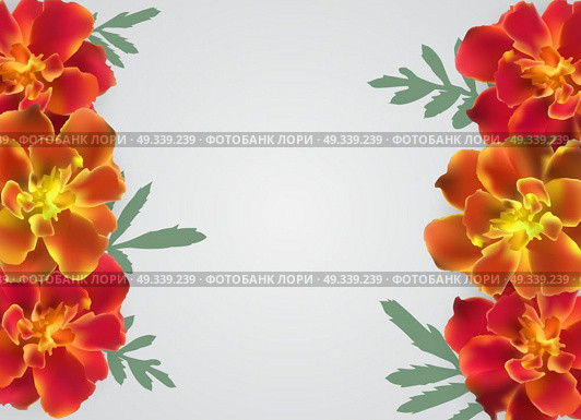 Abstract Tagetes Flower Realistic Vector Frame Background. EPS10. Abstract Tagetes Flower Realistic Vector Frame Background. Стоковая иллюстрация, агентство Ingram Publishing / Фотобанк Лори