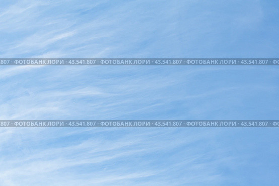 Abstract view of a white feather clouds in light blue sky as background. Стоковое фото, фотограф Михаил Строгалев / Фотобанк Лори