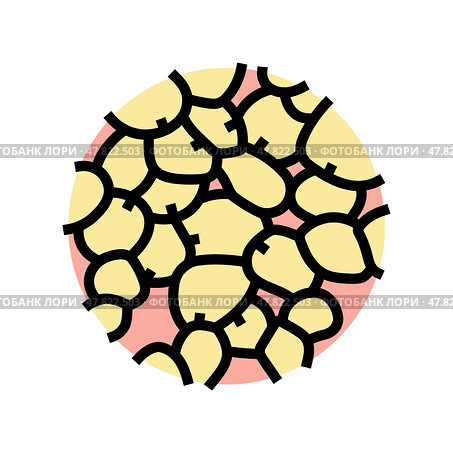adipose tissue obesity overweight color icon vector illustration. Стоковая иллюстрация, иллюстратор Vectorwin / Фотобанк Лори