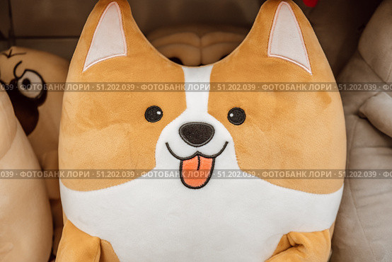 Adorable corgi plush toy displayed among other cute stuffed animals in cozy shop. closeup. Стоковое фото, фотограф ЛУНИНА ВЕРОНИКА / Фотобанк Лори