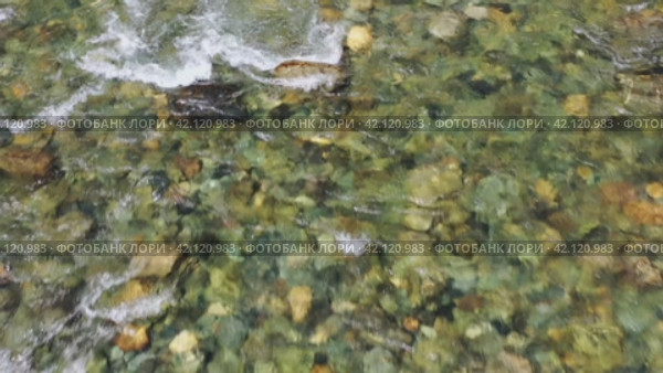Aerial drone video of Altai river Bashkaus. Drone moves sideways and camera looks down. Стоковое видео, видеограф Сергей Пристяжнюк (Serg Zastavkin) / Фотобанк Лори