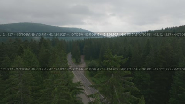 Aerial footage of cyclists on forest road. Стоковое видео, видеограф Данил Руденко / Фотобанк Лори