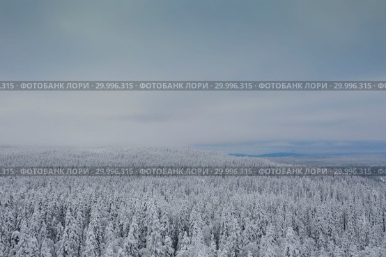 Aerial panorama of winter snowy landscape with forest, Kevakka mountain and lake, Paanajärvi, Karelia, Russia. Стоковое фото, фотограф Кирилл Трифонов / Фотобанк Лори