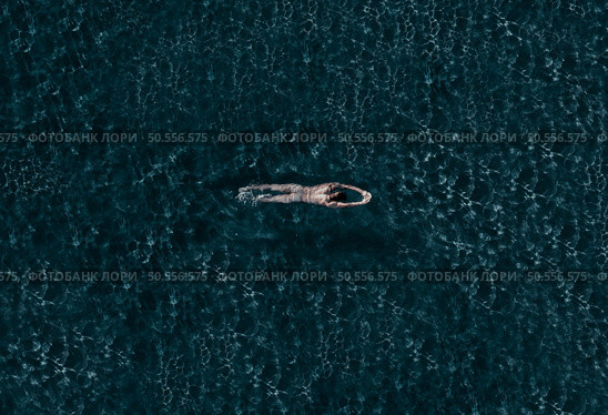 Aerial Top View Male Swimmer Swimming . Professional Determined Athlete Training for the Championship. Top View Shot. Стоковое фото, агентство Ingram Publishing / Фотобанк Лори