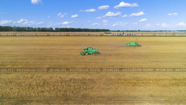 Aerial view of combine harvester on wheat field. Flying in a circle clockwise. Стоковое видео, видеограф Андрей Радченко / Фотобанк Лори