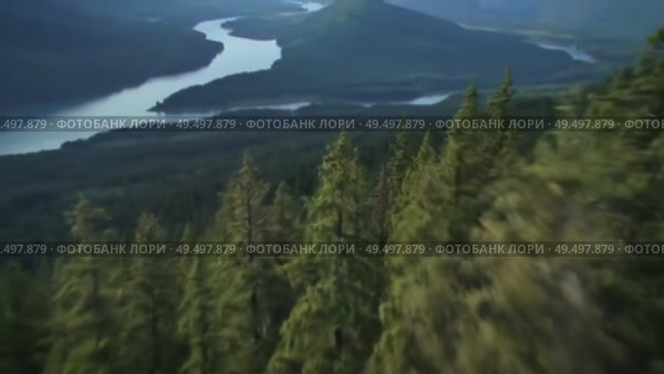 Aerial view of lush green forest and winding river in mountainous terrain. Стоковое AI-видео, аниматор Андрей Бажанов / Фотобанк Лори