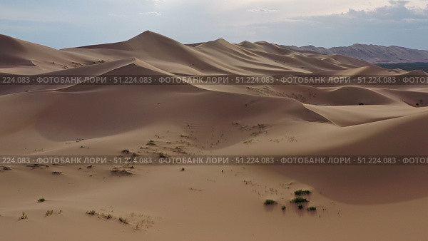 Aerial view of sand dunes in desert at sunset. Стоковое фото, фотограф Михаил Коханчиков / Фотобанк Лори