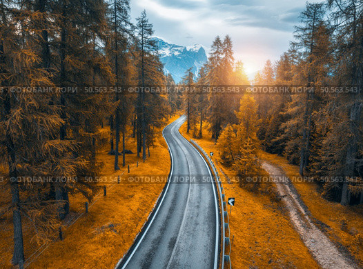 Aerial view of wet road and orange forest in golden autumn. Dolomites, Italy. Top drone view of road, red trees, grass in fall at sunset. Road through the woods. Moody landscape with roadway. Travel. Стоковое фото, агентство Ingram Publishing / Фотобанк Лори