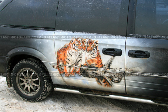 Аэрография на автомобиле. Три тигренка (2011 год). Редакционное фото, фотограф Щеголева Ольга / Фотобанк Лори