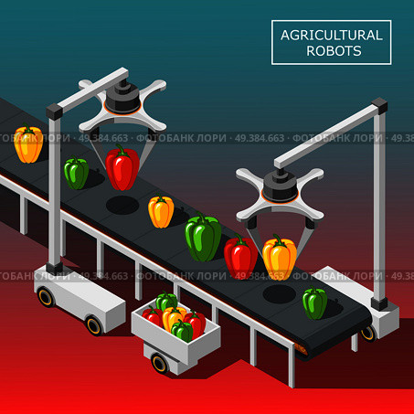 Agricultural robots isometric background with modern automated devices intended for vegetable sorting on transporter vector illustration. Agricultural Robots Isometric Background. Стоковая иллюстрация, агентство Ingram Publishing / Фотобанк Лори