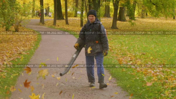 Александровский парк (Царское Село). Дворник убирает листья с пешеходной дорожки. (2021 год). Редакционное видео, видеограф Евгений Романов / Фотобанк Лори