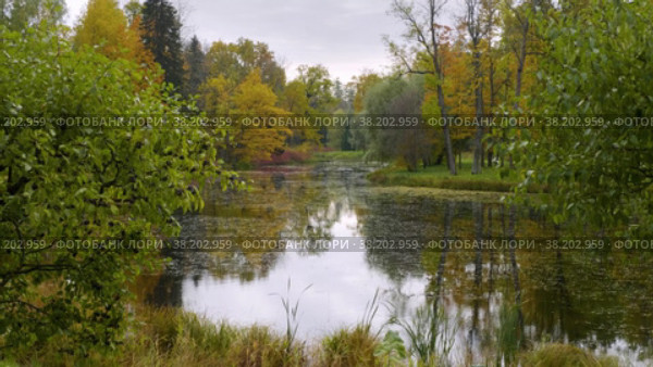 Александровский парк (Царское Село). Ланский пруд. Alexander Park (Tsarskoye Selo). Lansky Pond. (2021 год). Редакционное видео, видеограф Евгений Романов / Фотобанк Лори